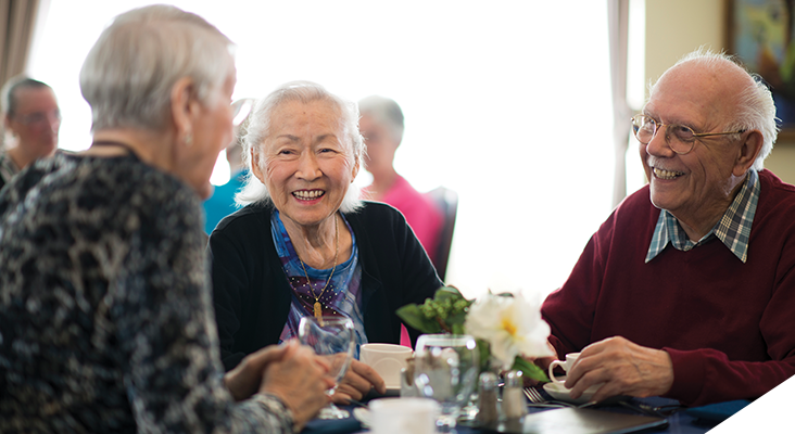 Positive Ageing Plan – Community Panel EOI | Have Your Say Canterbury ...