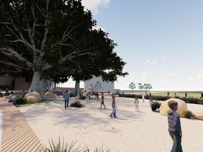 Fig tree nature play